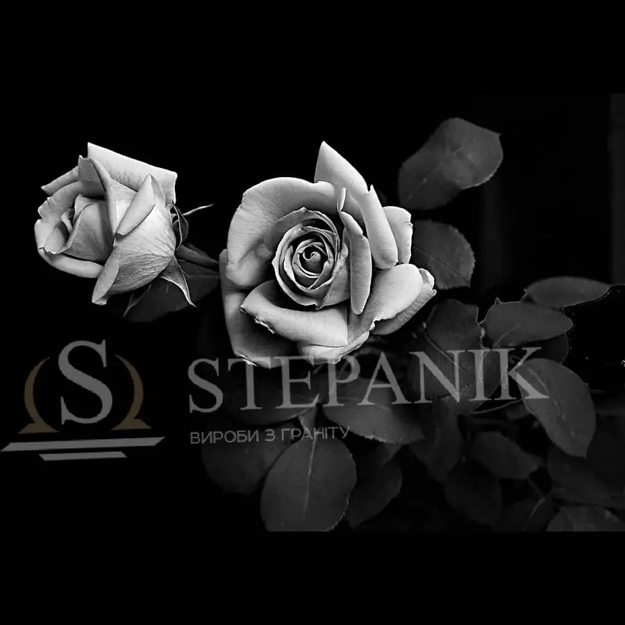 Художня робота 25